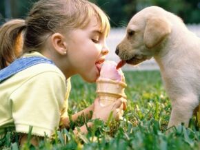 o fată mănâncă înghețată cu un câine și se infectează cu paraziți